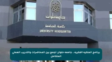 برنامج الملكية الفكرية.. جامعة حلوان تجمع بين المحاضرات والتدريب العملي المتكامل